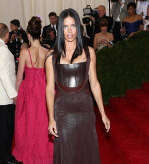 Adriana Lima slams head into bus mirror