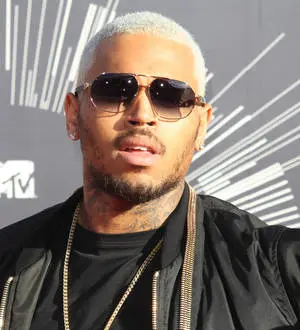 Chris Brown's art sells for more than,000