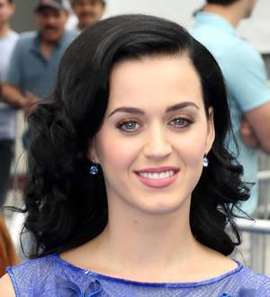 Katy Perry underwent therapy after Russell Brand split