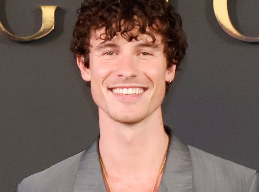 Shawn Mendes and the Lasting Appeal of Acoustic Pop Shawn Mendes and the Lasting Appeal of Acoustic Pop