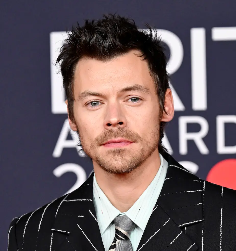 Harry Styles
