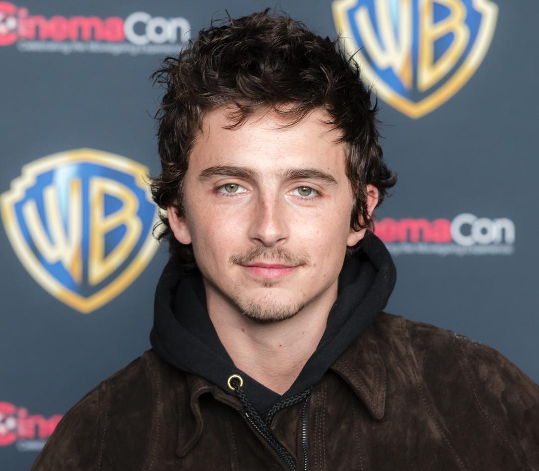 Portrait of Timothée Chalamet