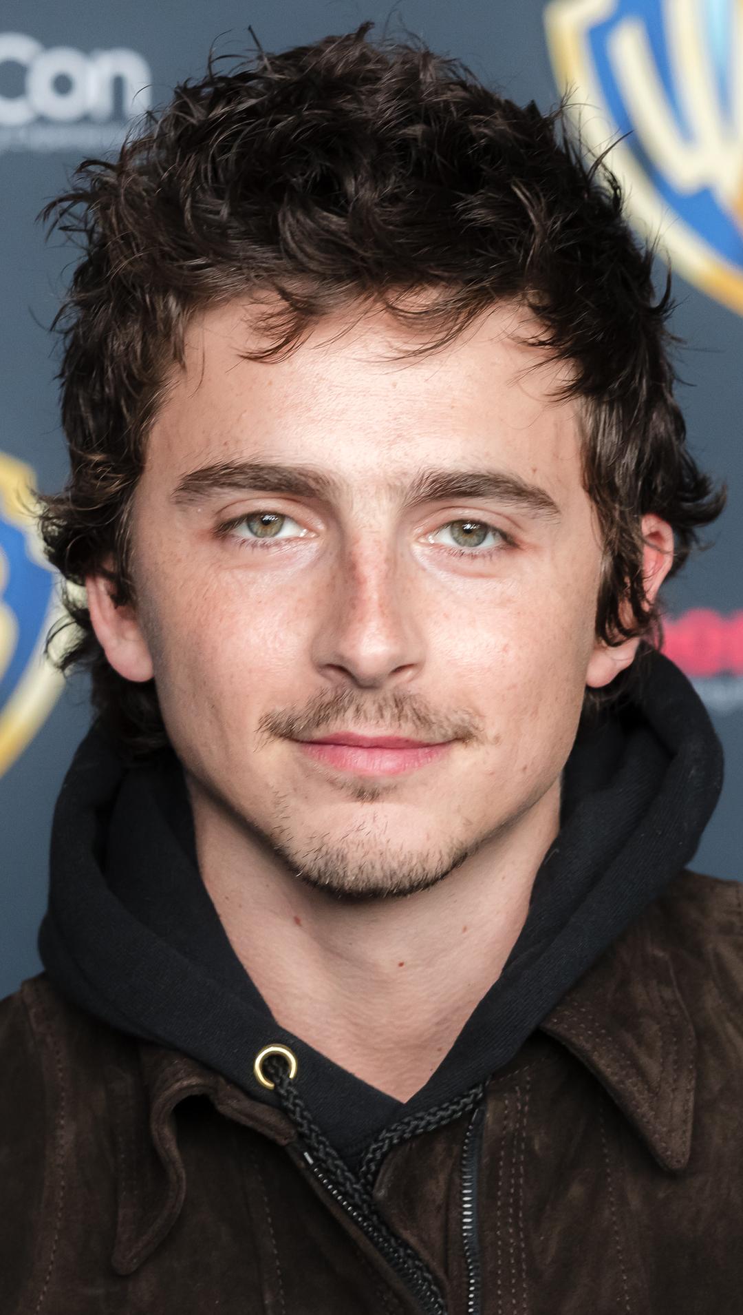 Portrait of Timothée Chalamet