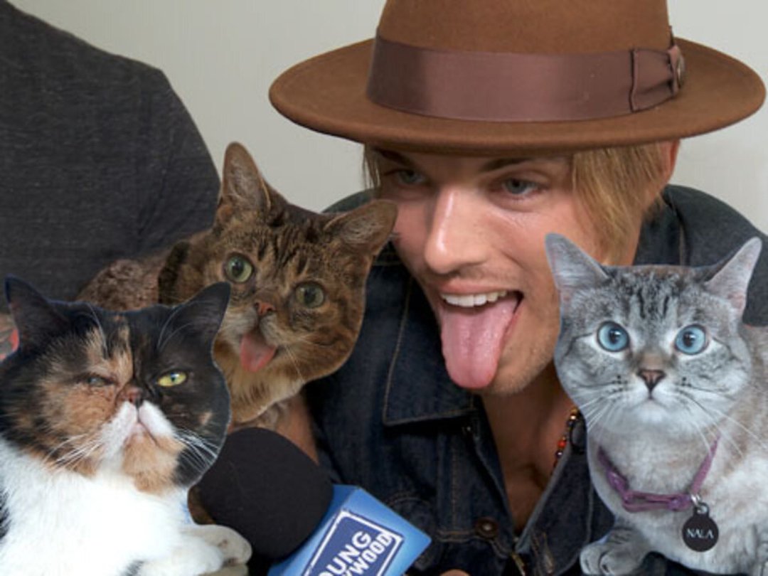 Famous Felines Get Frisky at CatCon
