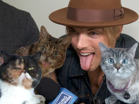 Famous Felines Get Frisky at CatCon