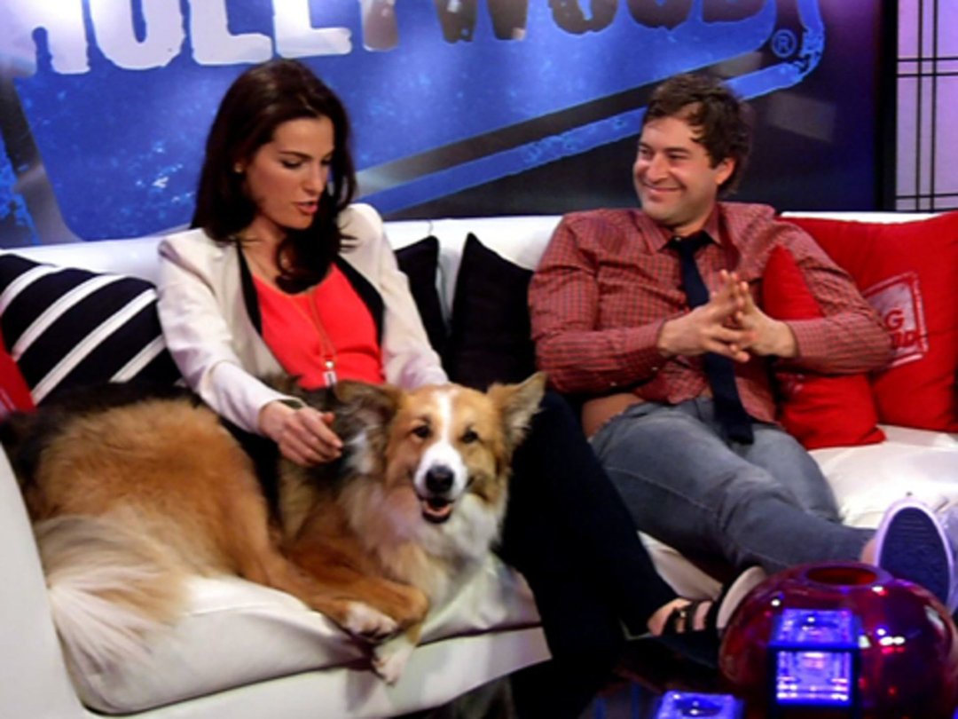 Kasey the Dog, Hollywood's New "It" Pup