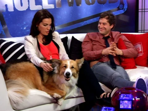 Kasey the Dog, Hollywood's New "It" Pup