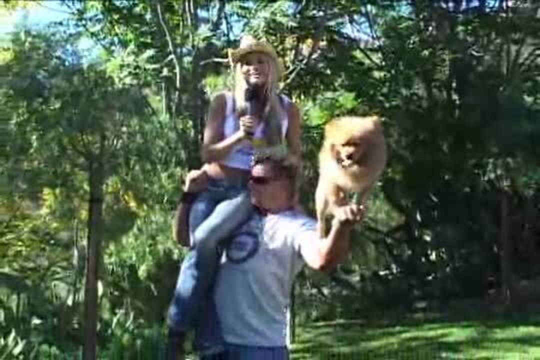 Super Dog Promo
