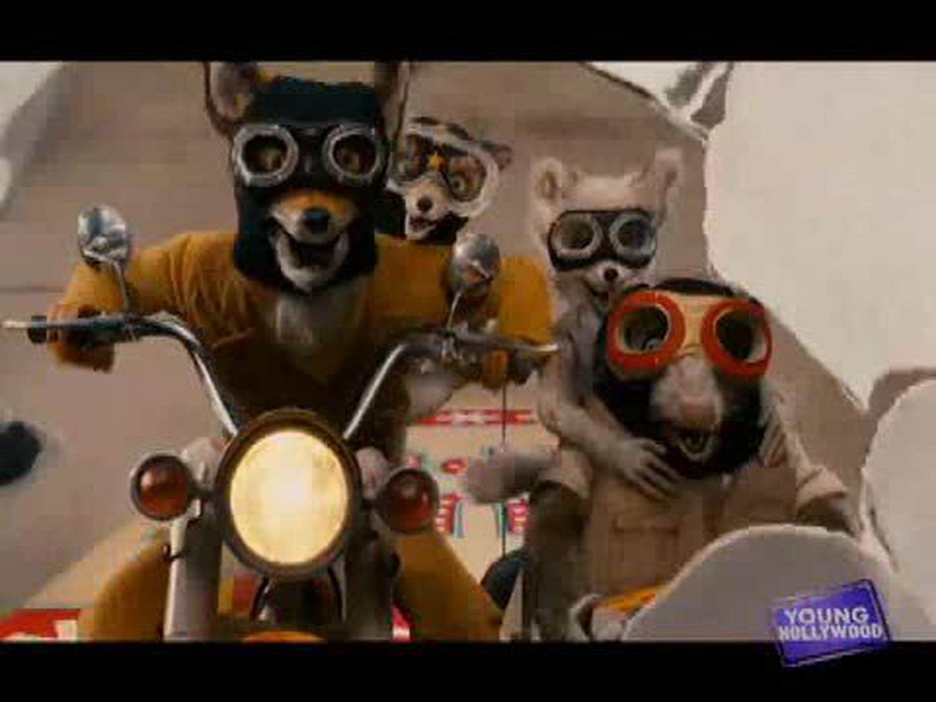 Film Sizzle Reel