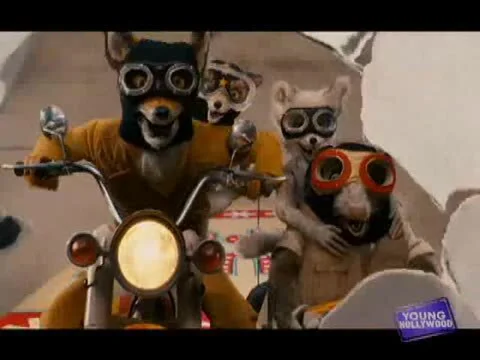 Film Sizzle Reel
