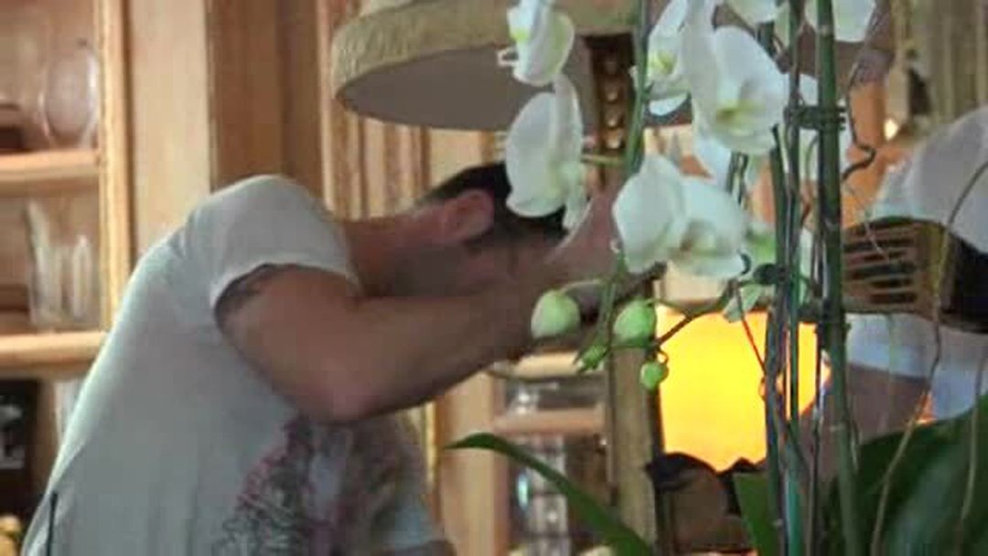 A Behind-the-Scenes look at the Jaclyn Smith Brand