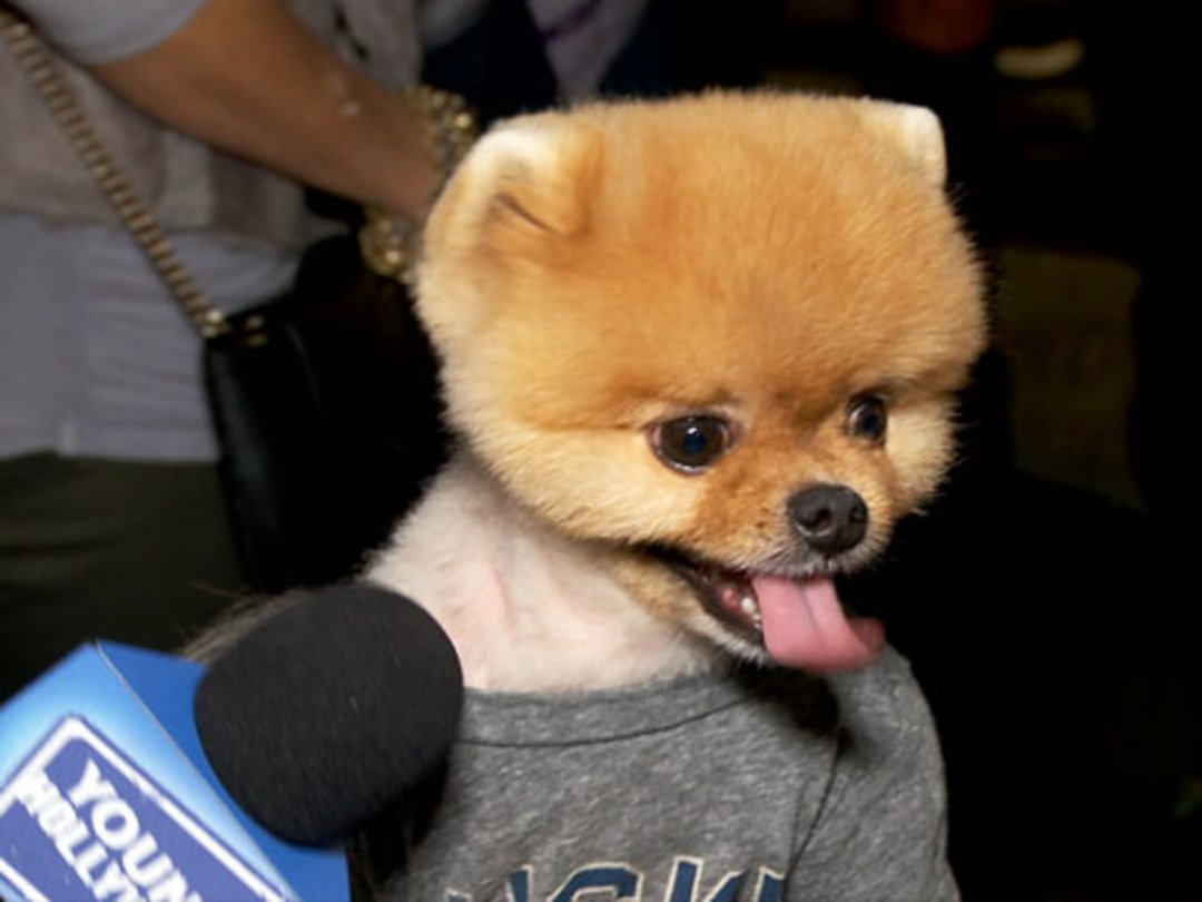 NFL Stars (and Jiffpom) Suit Up for Super Bowl Party