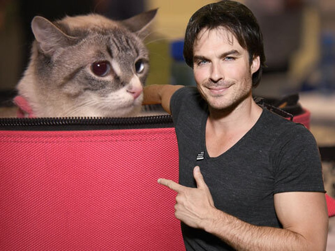 Why Ian Somerhalder Is Back To Vampires In V-Wars