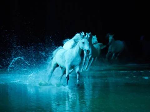 Odysseo by Cavalia Live Equestrian Show Takes Horsing Around to Epic Levels