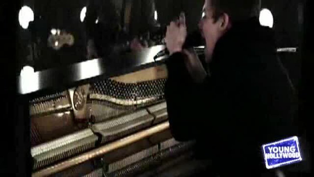 YH Buzz Meter: White Rabbits