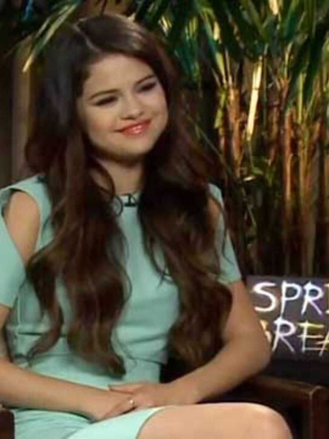 Selena Gomez & Co-Stars Take a Risk With 'Spring Breakers'
