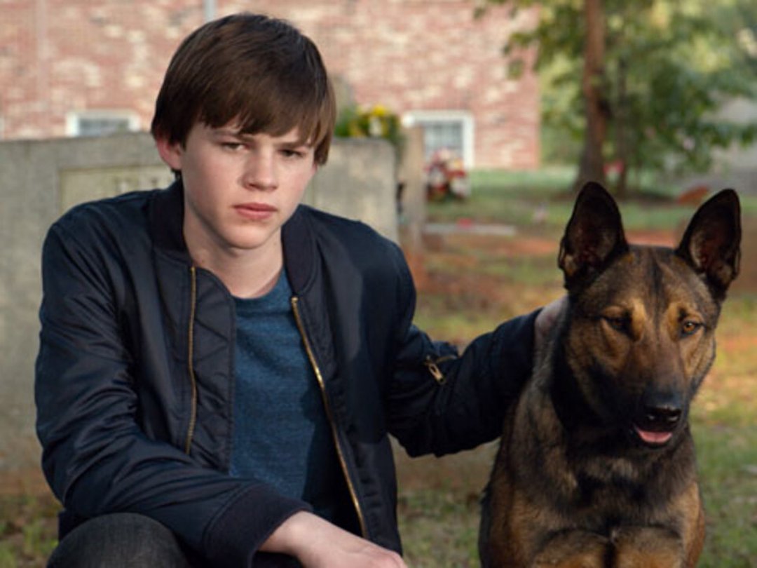 'Max' Star Josh Wiggins on Dogs as Co-Stars vs Pets