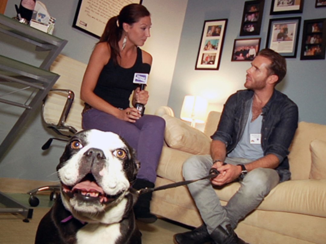 "Animal Practice" Cast Goes to the Dogs