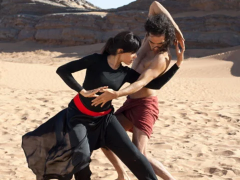 Freida Pinto on Intense Training for 'Desert Dancer' Role